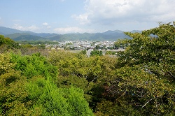 䂩猩n