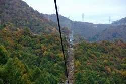 hSȟiF