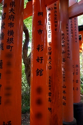 [uʍDفv̒