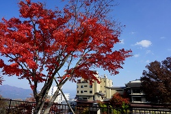 nCgʓ@̍gt