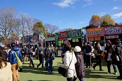 傤Ղ