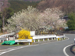 v05