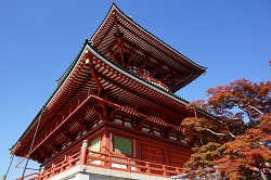 ȃ哃