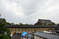 傩猩̊یa