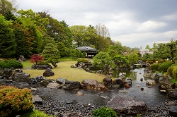 ay猩