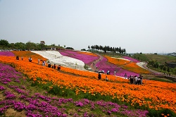 ō5