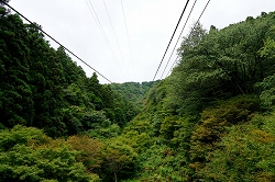 Rwグ