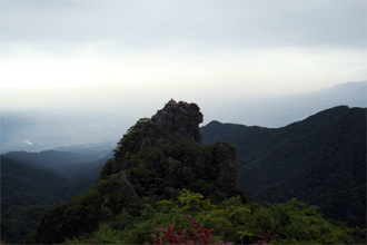 q납