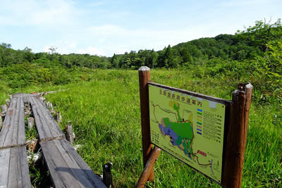 湿原案内板