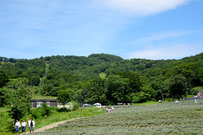 盛り上がっているのが鹿俣山山頂
